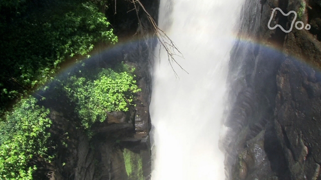 [お試し] 滝がつくる小宇宙　イグアス国立公園（アルゼンチン・ブラジル）